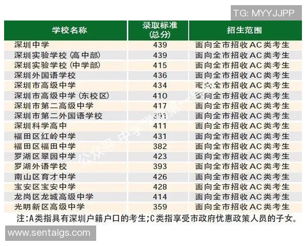 深圳排球队以81分领跑世锦赛积分榜展现强劲实力